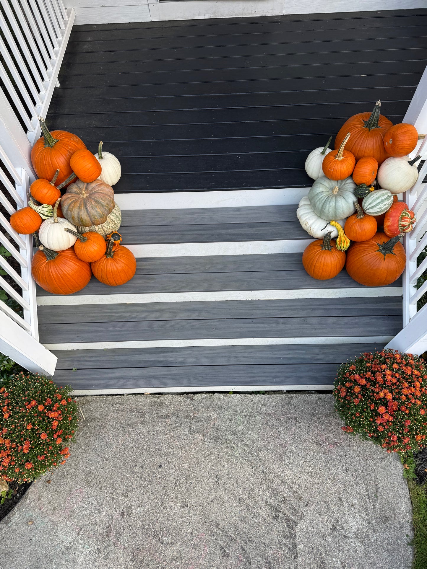 Autumn Touch