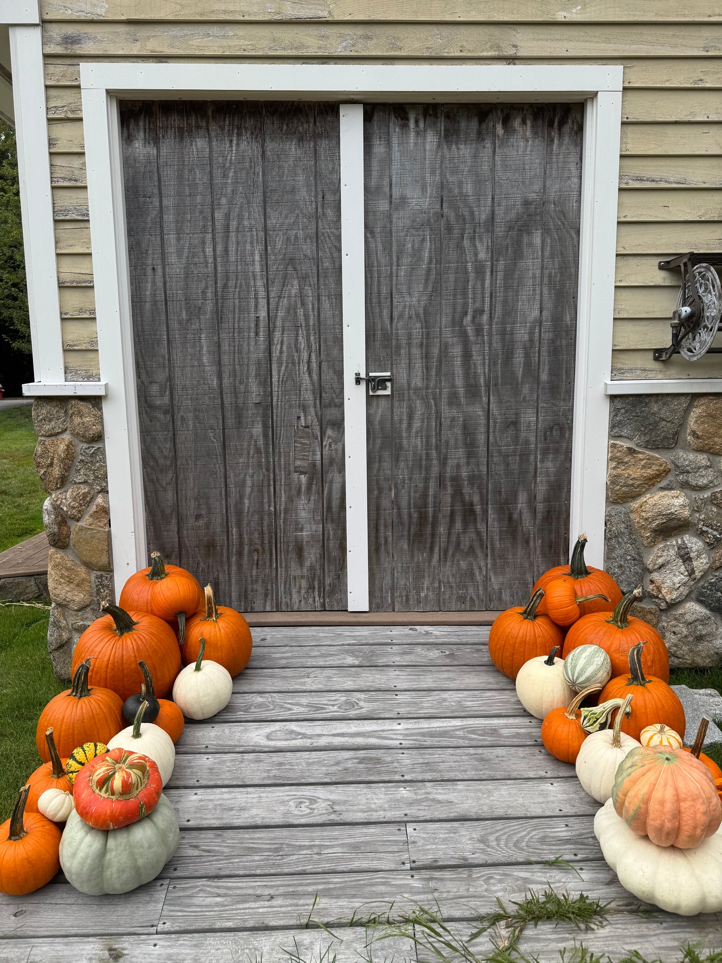 Autumn Touch