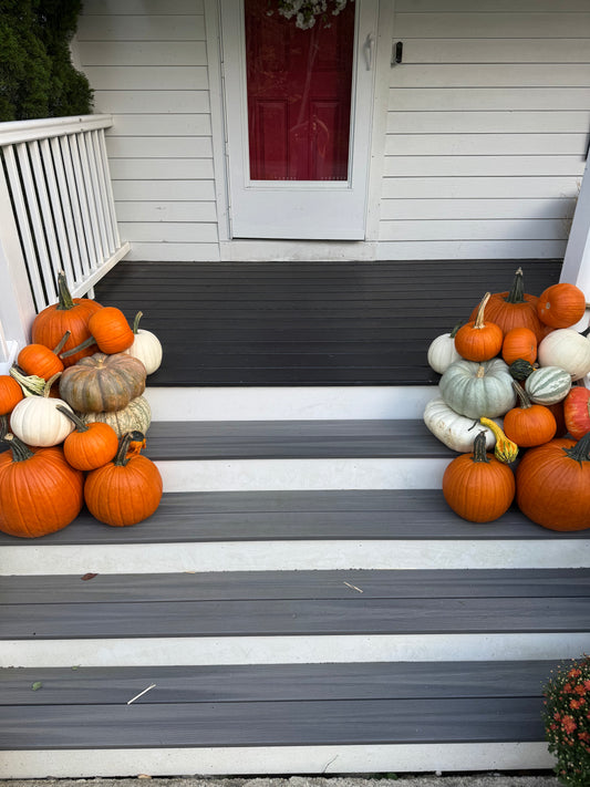 Autumn Touch
