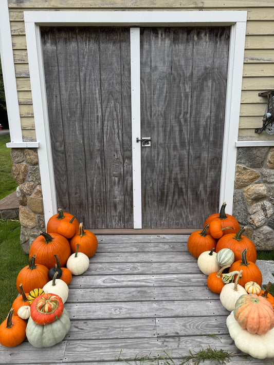 Autumn Touch
