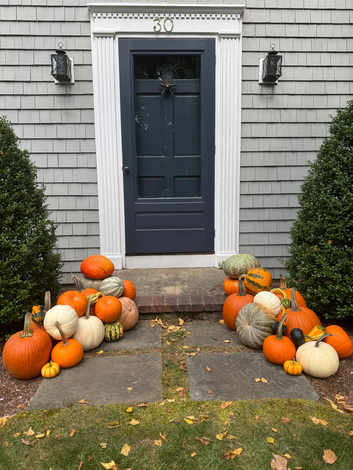 Autumn Touch